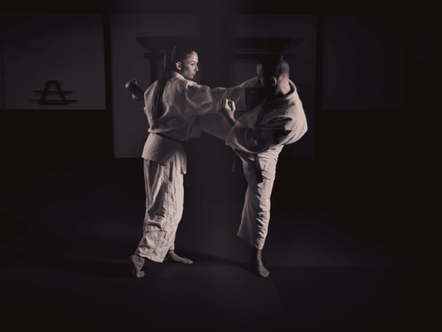 What Is Krav Maga? Is It Better Than BJJ?
